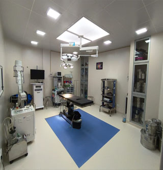 Click to view larger image